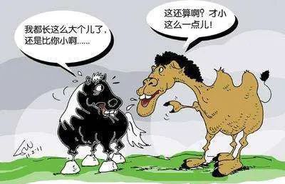 拍卖家具用什么软件