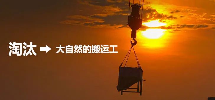 拍卖家具用什么软件